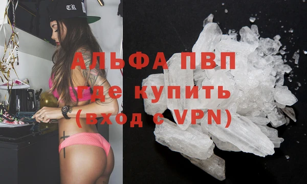 спиды Абаза
